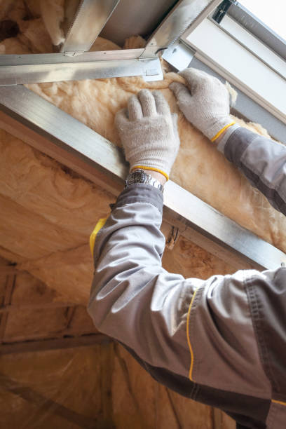 Best Insulation Installation Services in Whitg, IN