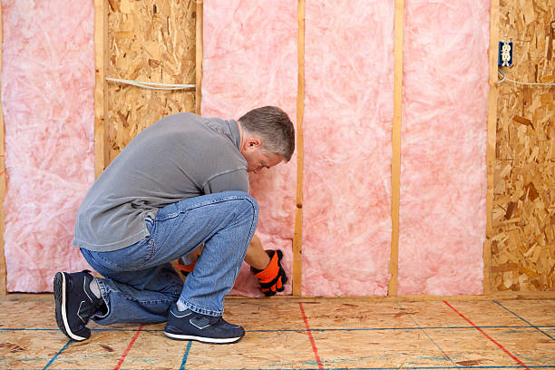 Best Insulation Installation Services in Whitg, IN